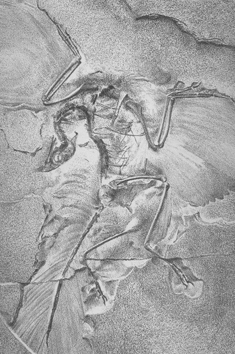berlin archaeo.jpg (176358 bytes)