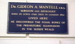 mantell plate.jpg (20075 bytes)